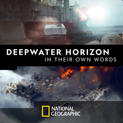 Télécharger Deepwater Horizon: In Their Own Words