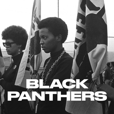 Télécharger Black Panthers