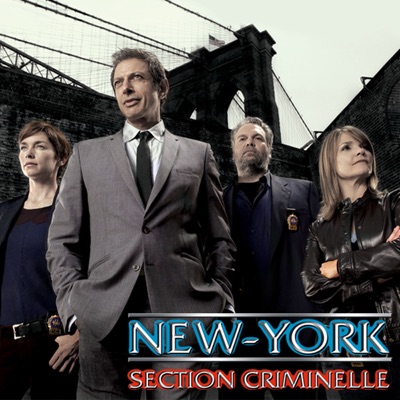Télécharger New-York Section Criminelle, Saison 8