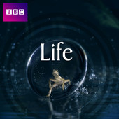 Télécharger Life : L'aventure de la vie, Saison 1