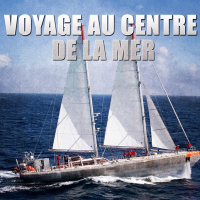 Télécharger Voyage au centre de la mer