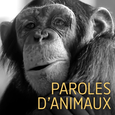 Paroles d'animaux torrent magnet