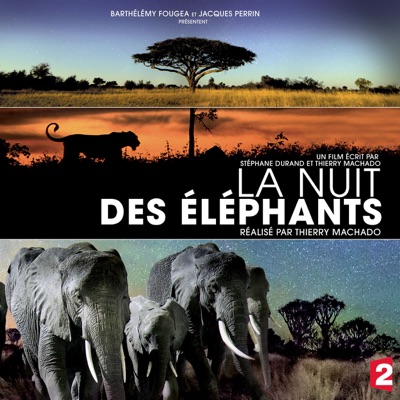 Télécharger La nuit des éléphants