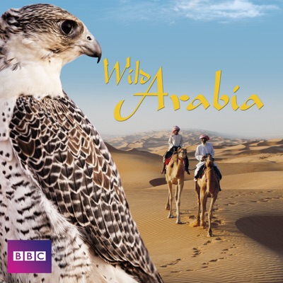 Télécharger Wild Arabia