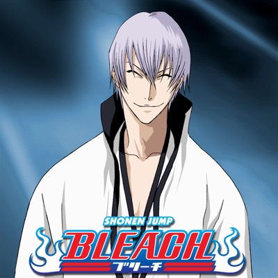 Télécharger Bleach, Season 21