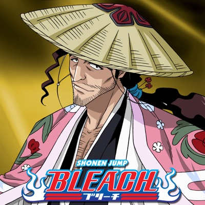 Télécharger Bleach, Season 20