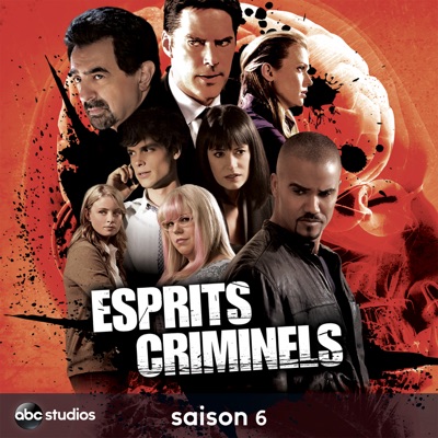 Télécharger Esprits criminels, Saison 6 (VOST)