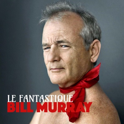 Télécharger Le fantastique Mr Murray