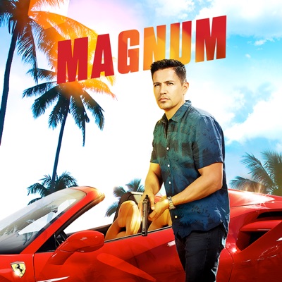 Magnum, Saison 2 torrent magnet