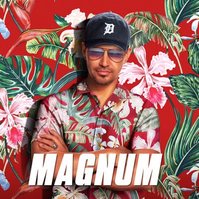 Télécharger Magnum, Saison 1