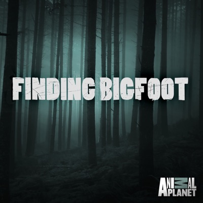 Télécharger Finding Bigfoot, Season 5