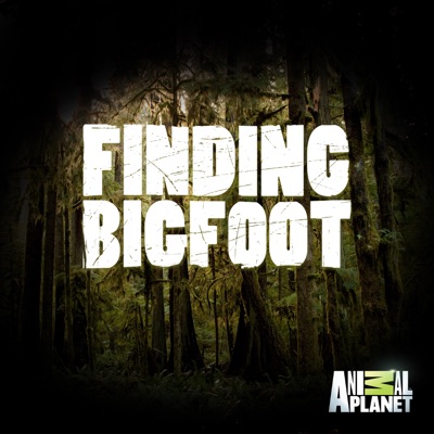 Finding Bigfoot, Season 10 torrent magnet