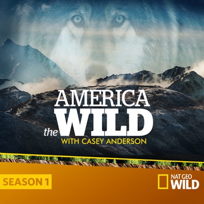 Acheter America the Wild en DVD