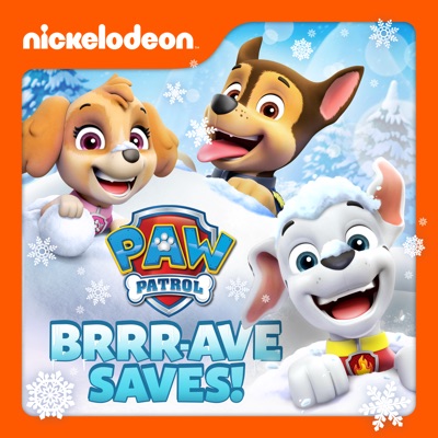 Télécharger PAW Patrol, Brrr-ave Saves