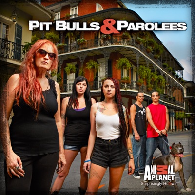 Télécharger Pit Bulls and Parolees, Season 4