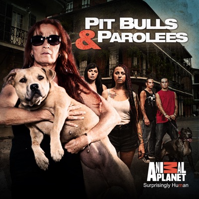 Télécharger Pit Bulls and Parolees, Season 7