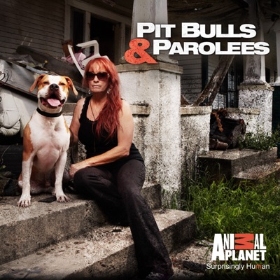 Télécharger Pit Bulls and Parolees, Season 5