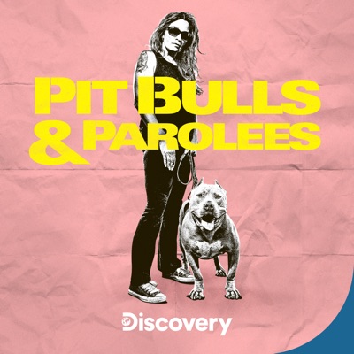 Télécharger Pit Bulls and Parolees, Season 18