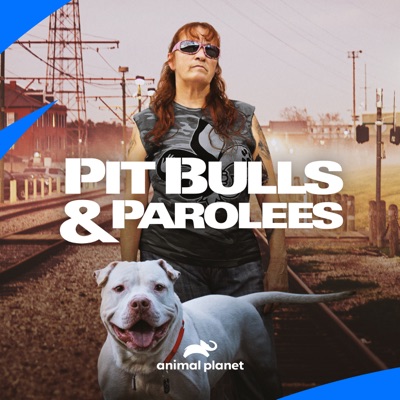 Télécharger Pit Bulls and Parolees, Season 17