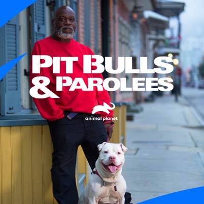 Télécharger Pit Bulls and Parolees, Season 15