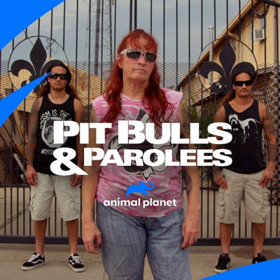 Télécharger Pit Bulls and Parolees, Season 14
