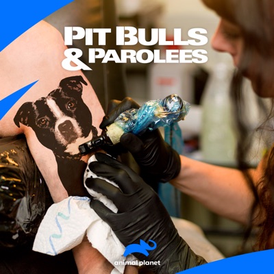 Télécharger Pit Bulls and Parolees, Season 2