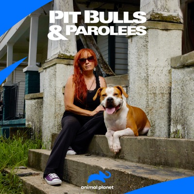 Télécharger Pit Bulls and Parolees, Season 13