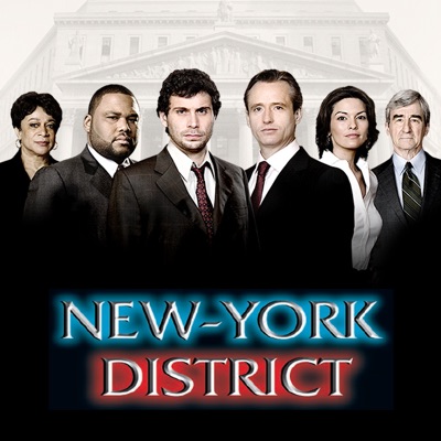Télécharger New-York District, Saison 20