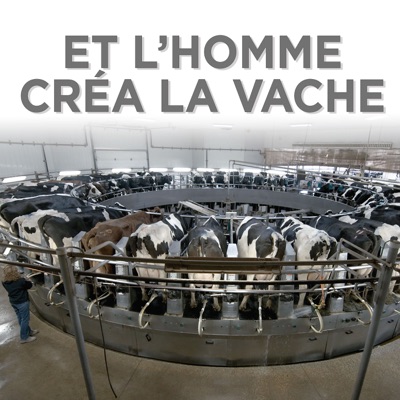 Télécharger Et l'homme créa la vache