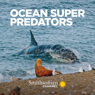 Télécharger Ocean Super Predators