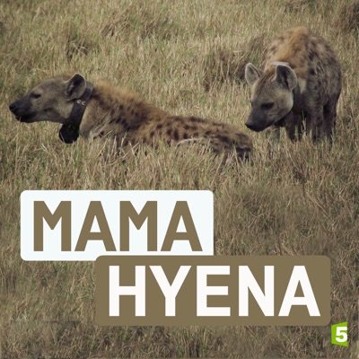 Télécharger Mama Hyena