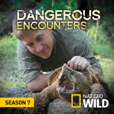 Acheter Dangerous Encounters, Season 7 en DVD