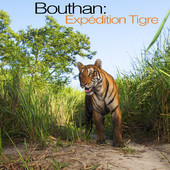 Télécharger Bouthan: Expédition tigre, Saison 1