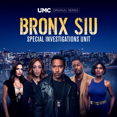 Télécharger Bronx SIU, Season 2