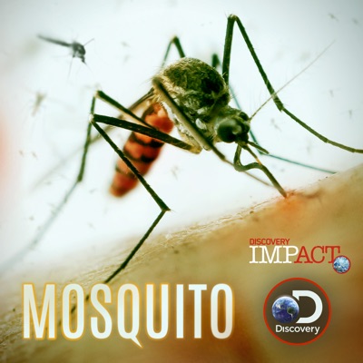 Acheter Mosquito en DVD