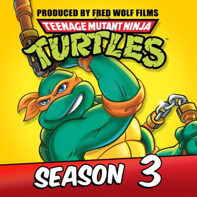 Télécharger Teenage Mutant Ninja Turtles (Classic Series), Season 3