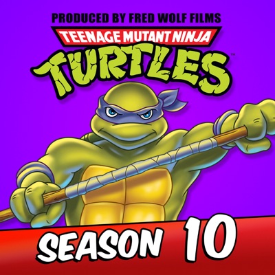 Télécharger Teenage Mutant Ninja Turtles, Season 10
