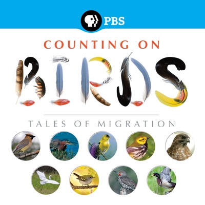 Télécharger Counting on Birds: Tales of Migration