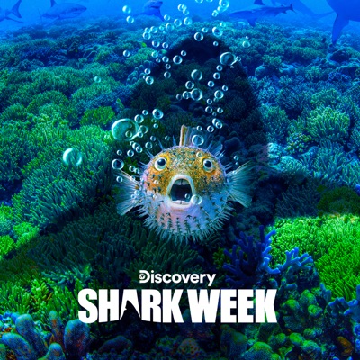Télécharger Shark Week 2019