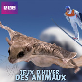 Acheter Jeux d'hiver des animaux, Saison 1 en DVD