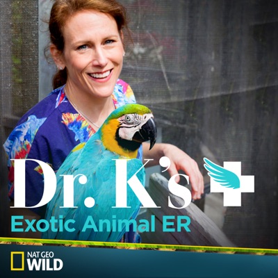 Dr. K's Exotic Animal ER, Season 1 torrent magnet
