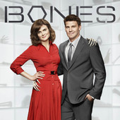 Télécharger Bones, Season 6