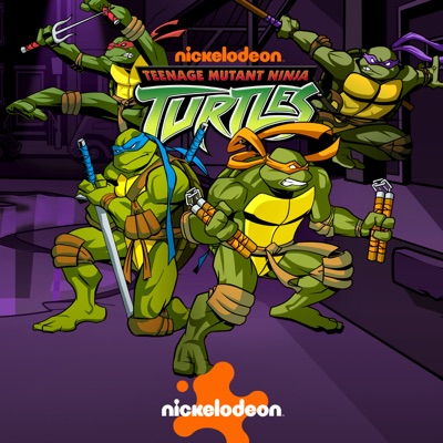 Télécharger Teenage Mutant Ninja Turtles (2003), Season 3