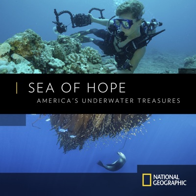 Télécharger Sea of Hope: America's Underwater Treasures
