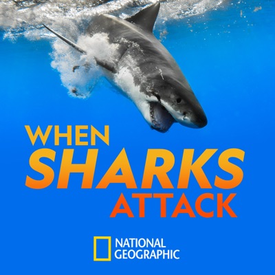 Télécharger When Sharks Attack, Season 7