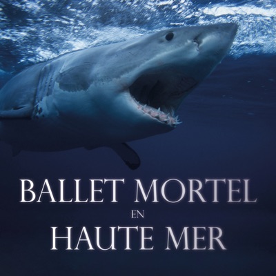 Acheter Ballet mortel en haute mer en DVD