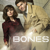 Télécharger Bones, Season 7