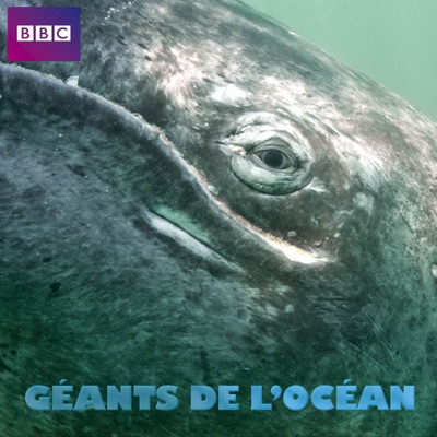 Acheter Ocean Giants, Géants de l'océan en DVD