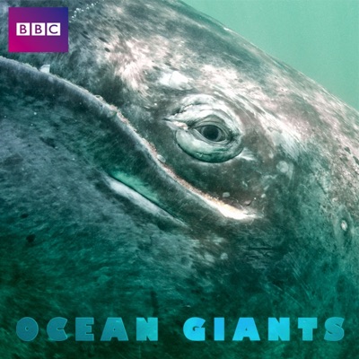 Ocean Giants, Series 1 torrent magnet