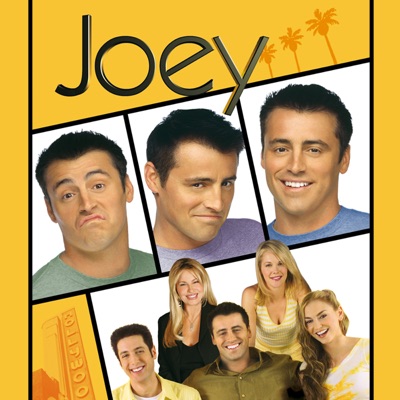 Acheter Joey, Saison 1 en DVD